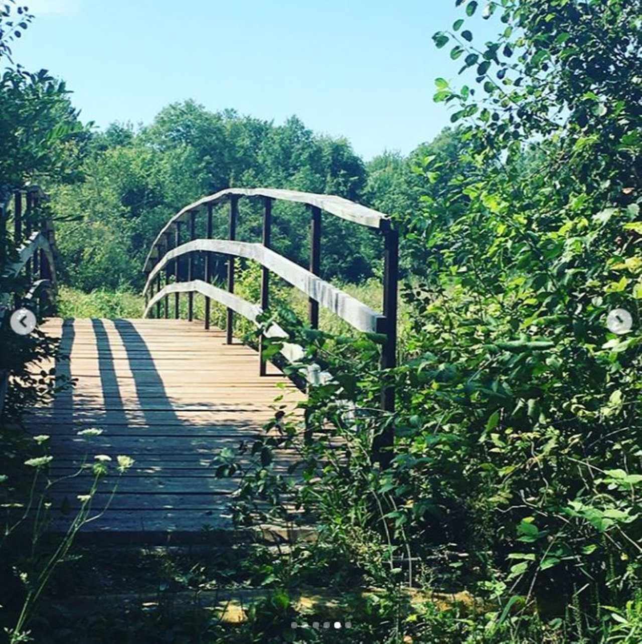Algonac State Park
Marine City
This park is 1,500 acres and has lots of densely wooded and very lush trails. As an added feature this park has breathtaking views of the St. Clair River. 
Photo via Instagram user @take_a_hike_brooke