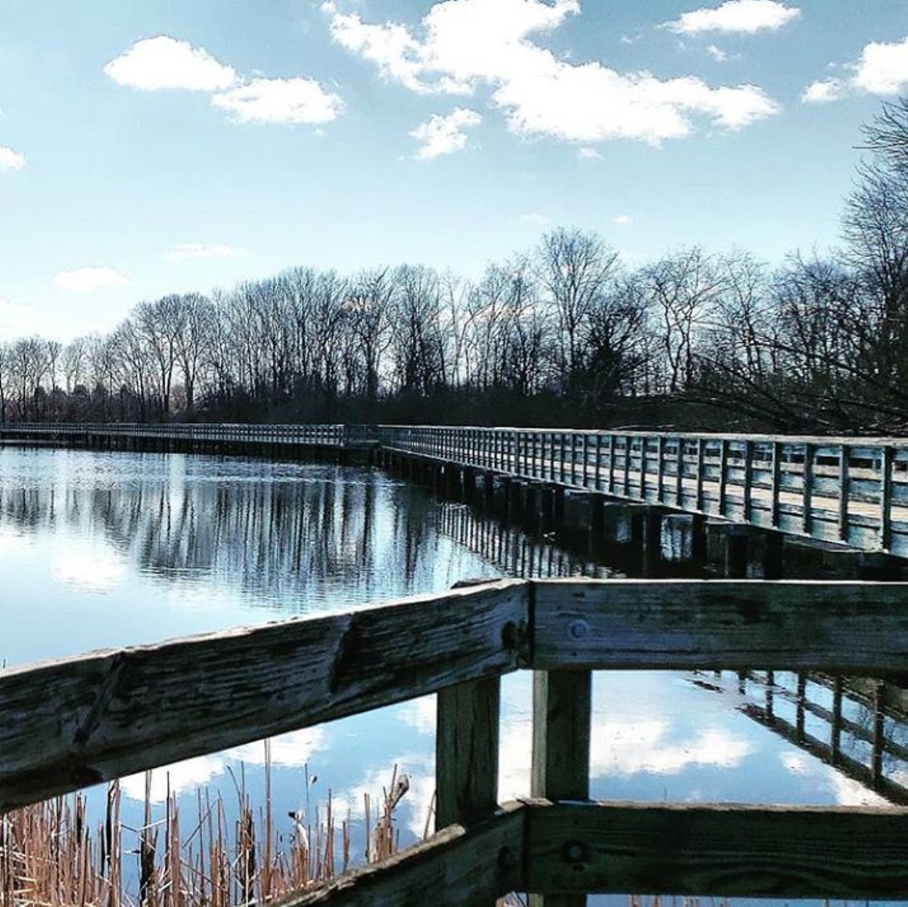 North Bay Trail
Ypsilanti
Good for all things water-related, North Bay Park's trail is super relaxing and leisurely, having water on either side of the loop. The park includes fishing spots and a boardwalk as well.
Photo via Instagram user @christinathetraveler