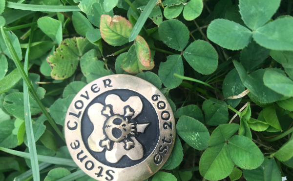 Image: Stone Clover