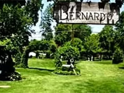 Image: Suburban sanctuary