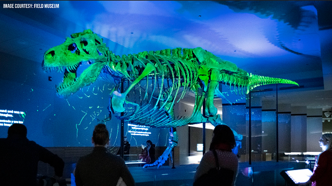 SUE: The T. rex Experience