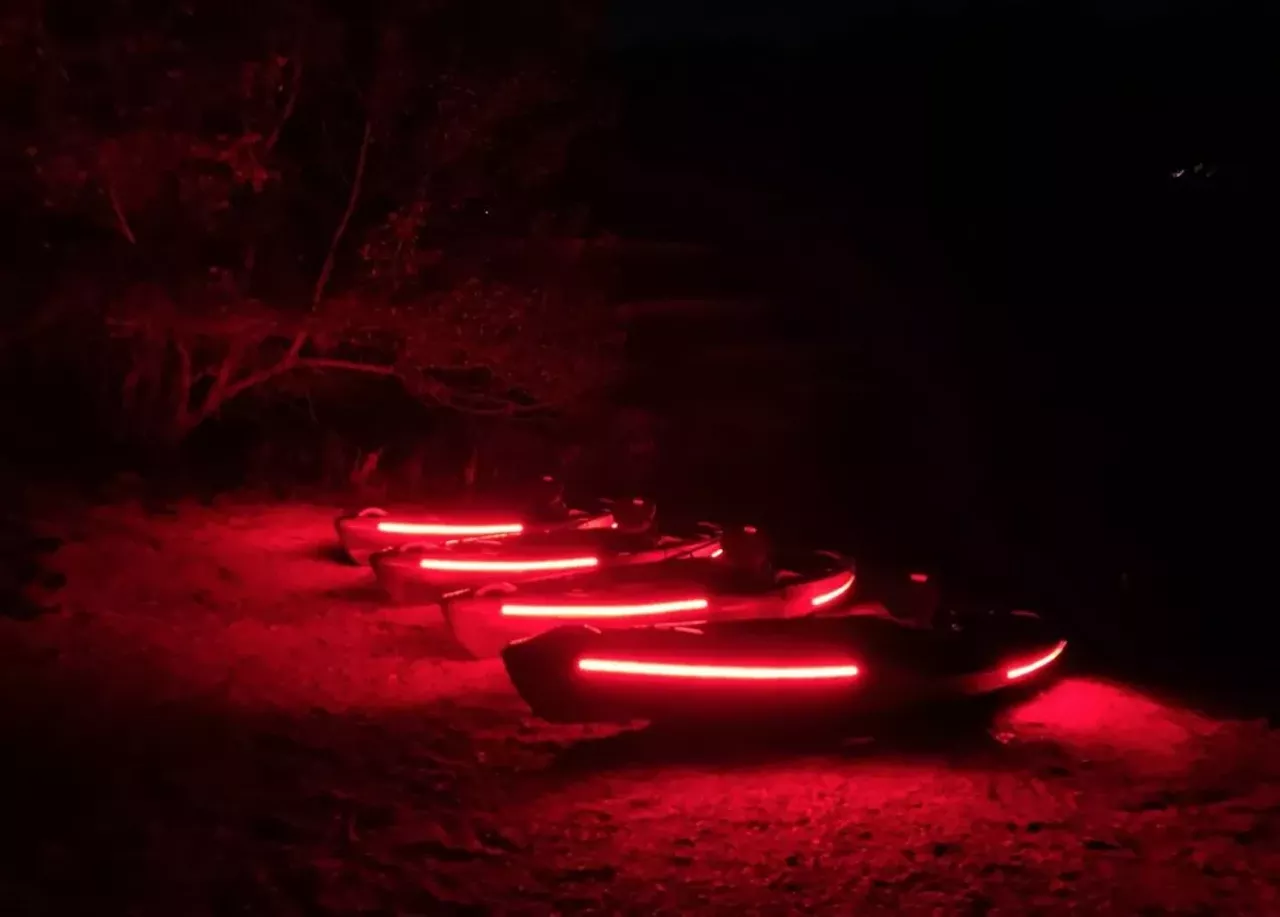 Skip&#146;s Huron River Canoe Livery3902 E. Delhi Rd., Ann Arbor; 734-769-8686; paddlethehuron.comMore of a night owl? Not a problem at Skip&#146;s. This year they&#146;re featuring glow-in-the-dark canoeing. They offer canoe and tube rentals located in Delhi Metropolitan Park. In addition, they offer tubing along the Huron River, also new this year. Photo via Skip&#146;s Huron River Canoe Livery / Facebook 