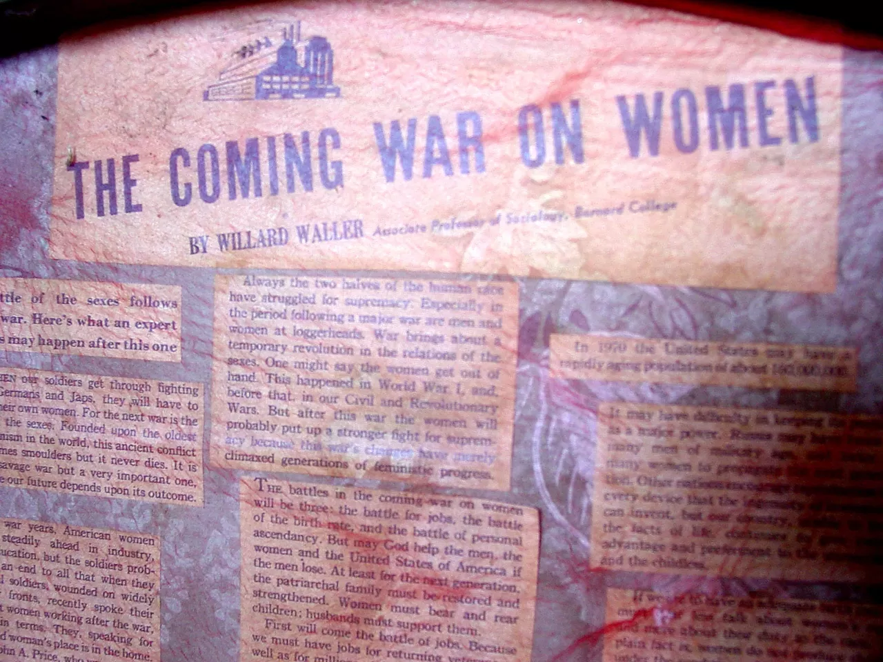 Image: The Artwork of Jean Wilson