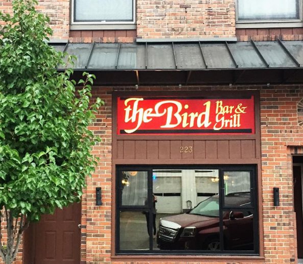 The Bird 
Central Michigan University
Not only is this the place to be for a night out, but they also serve some great bar food. Get here early, enjoy a meal then stay for the night because it will fill up quick.