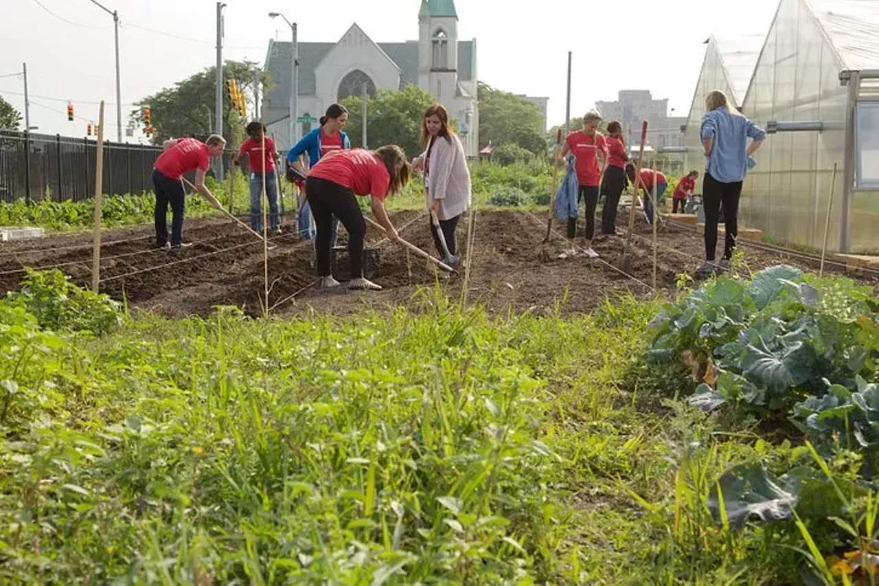 “Urban farming is such a cool thing in the city!” –it-was-justathought