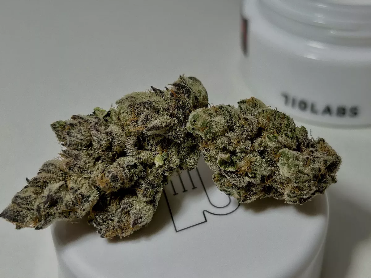 Image: 710 Labs is a top-shelf cultivator that grows flower and produces live rosin. This is Cake Crasher, a cross between Wedding Cake and Wedding Crasher.