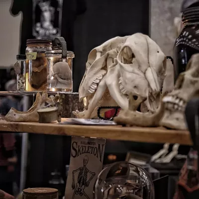 Image: Oddities and Curiosities Expo - Assorted skulls and wet specimens