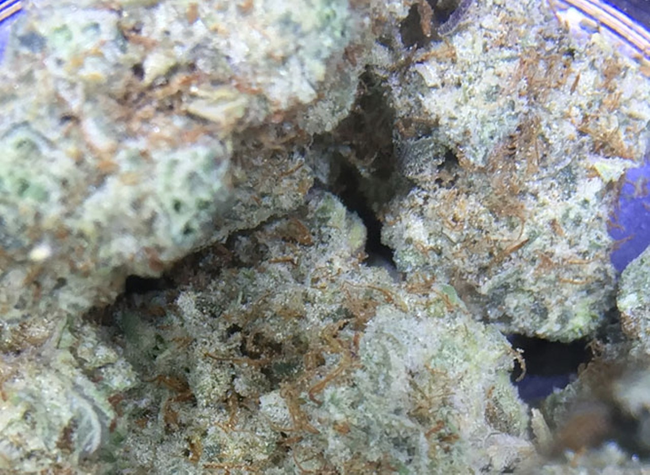 Green River Meds
Gorilla Glue #4
A potent hybrid with chunky, resin-covered buds, Gorilla Glue #4 delivers euphoria and relaxation, leaving you feeling glued to the couch. The strain took first place in Cannabis Cups in both Michigan and California in 2014.
24363 Grand River Ave., Detroit; facebook.com/greenrivermeds; 313-246-6912.