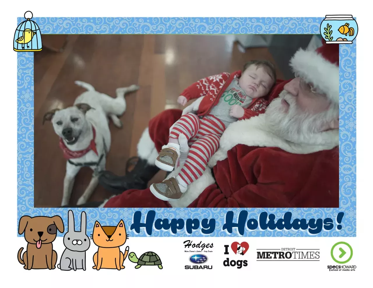 Image: These pets got their photos taken with Santa and the results are adorable