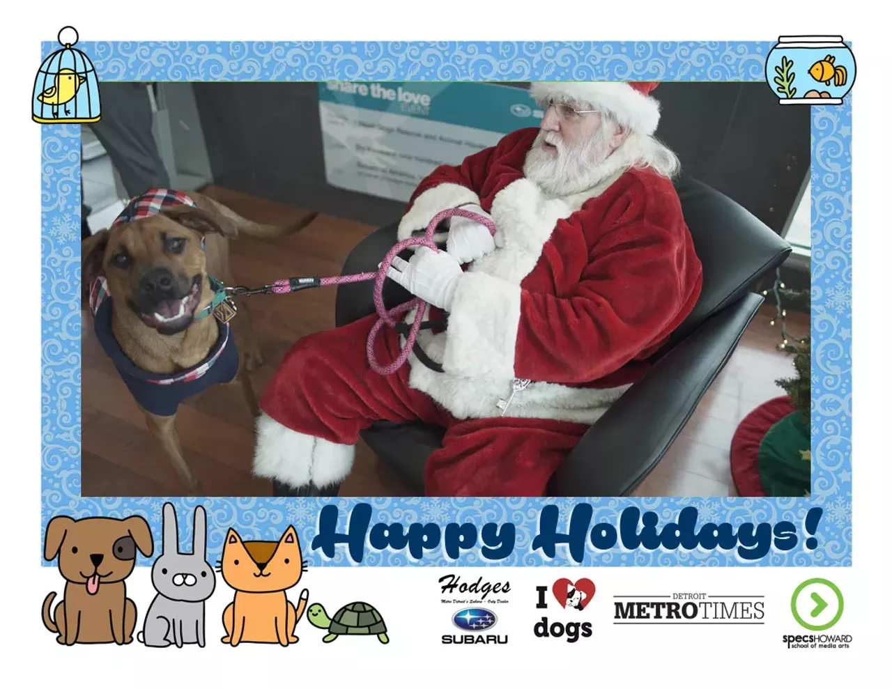 Image: These pets got their photos taken with Santa and the results are adorable