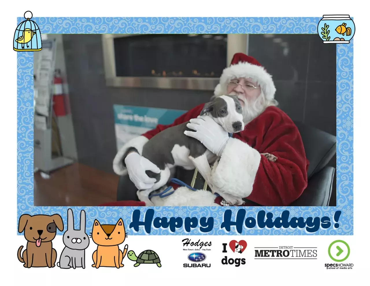 These pets got their photos taken with Santa and the results are adorable