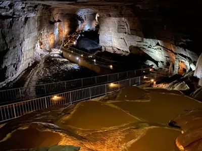 Image: Things to Do in Alabama, the Thrilling Yellowhammer State