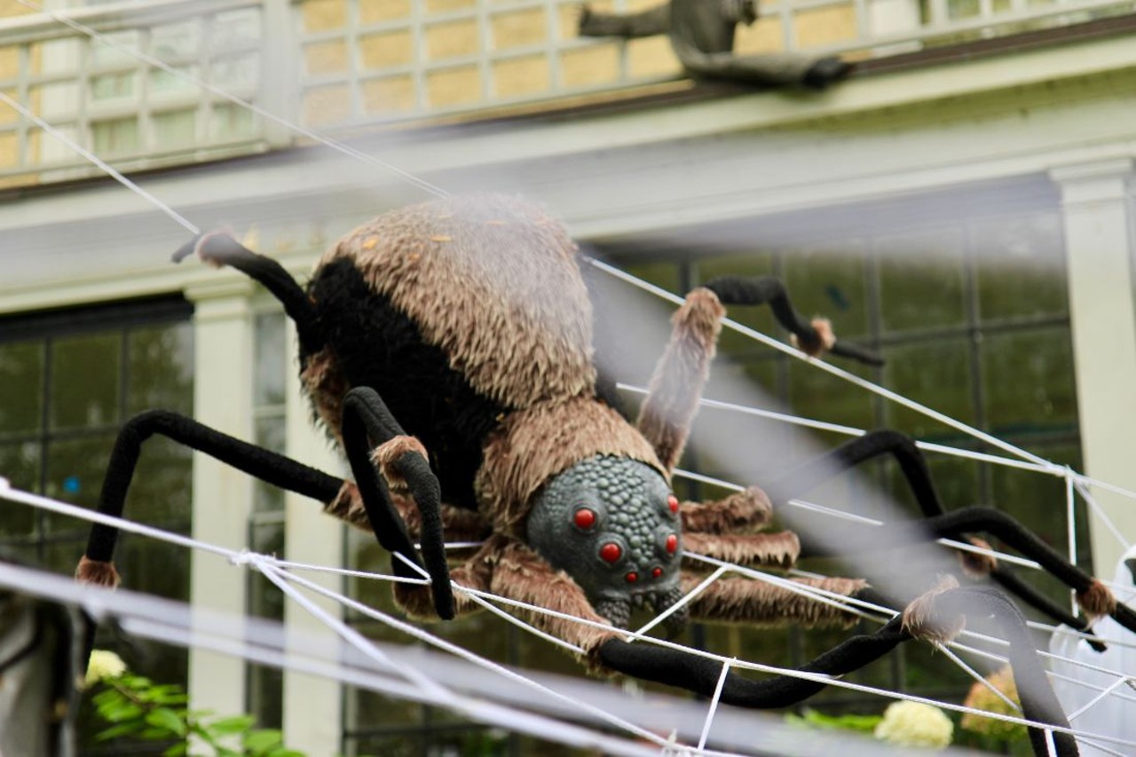 This Detroit home's Halloween decorations are so extra – and we're here for  it, Detroit