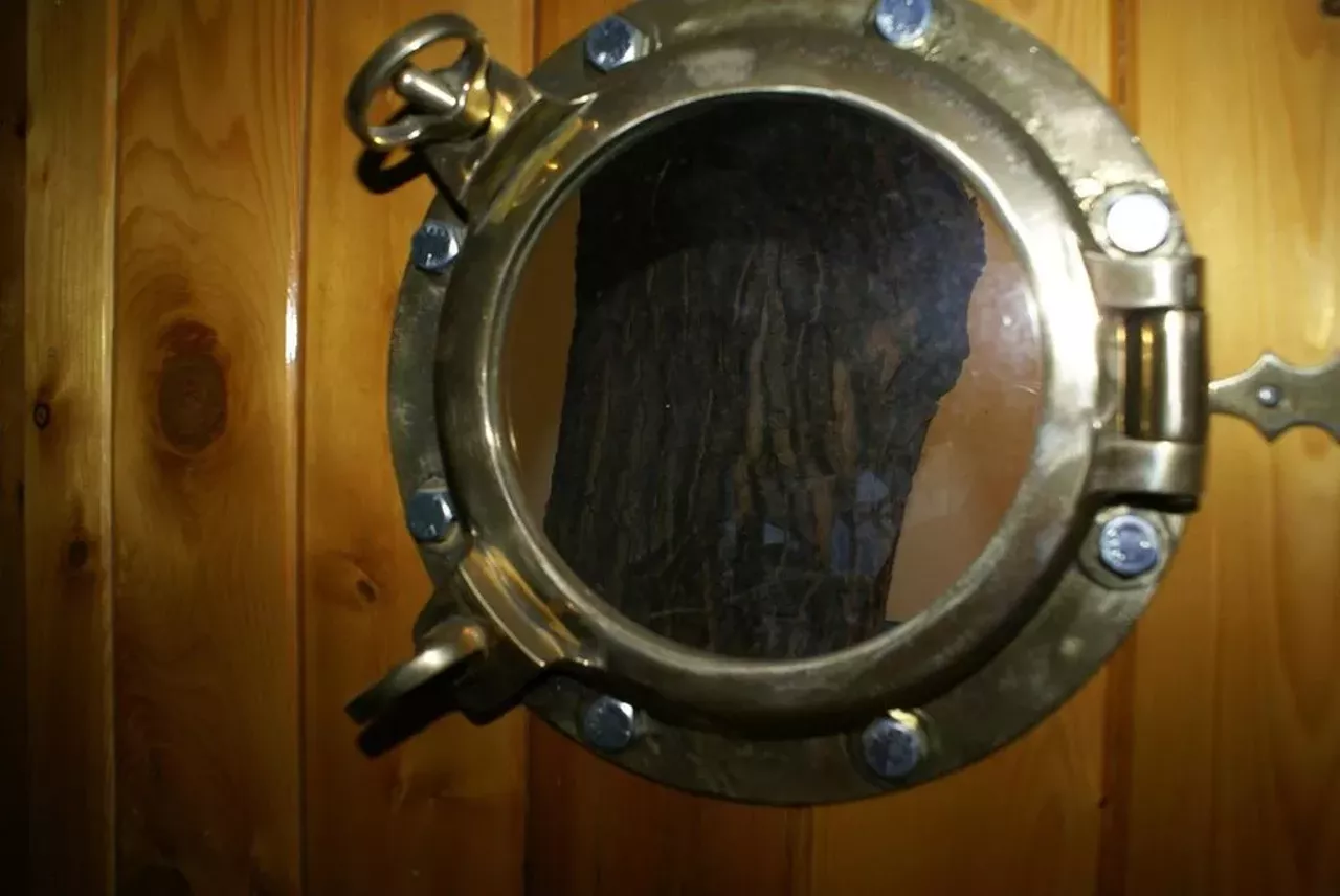 Image: This humble northern Michigan cottage is its own island &#151; and it's literally nothing like Animal Crossing
