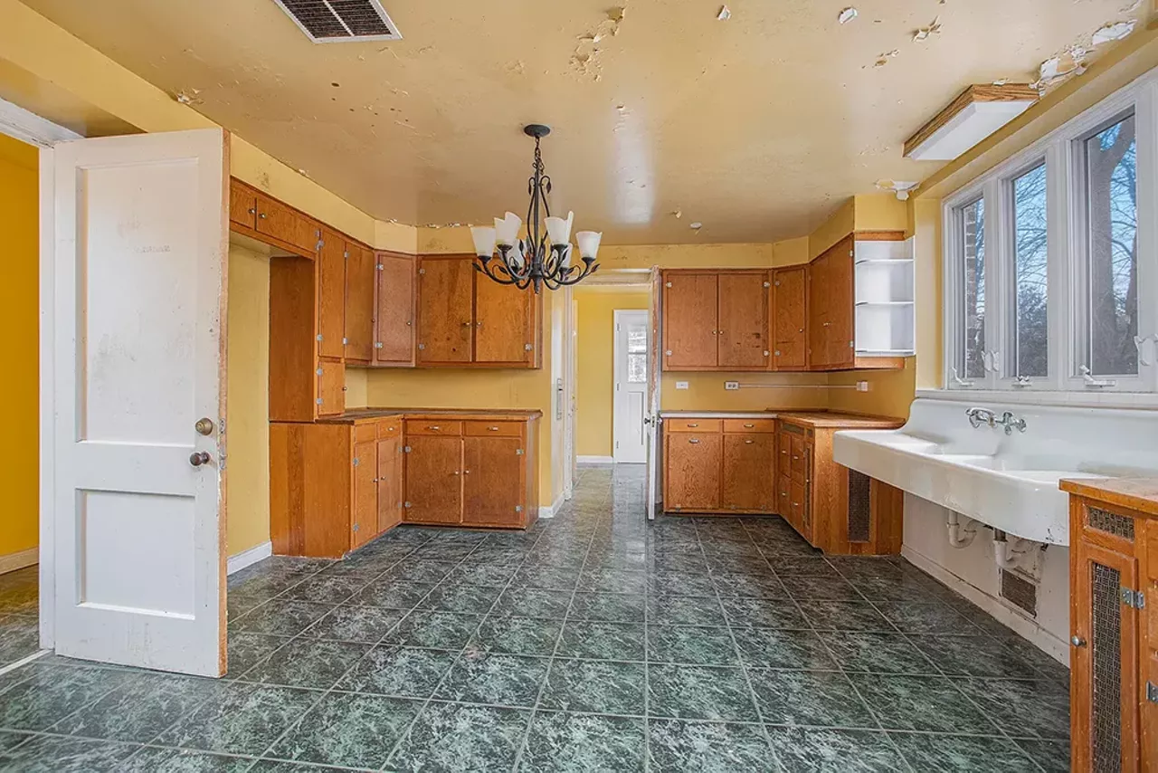 Image: This Michigan mansion listing is a trip [PHOTOS]