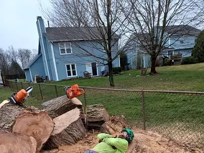 Image: Two Brothers, One Dream: Immigrants Building Detroit’s Tree Service Legacy