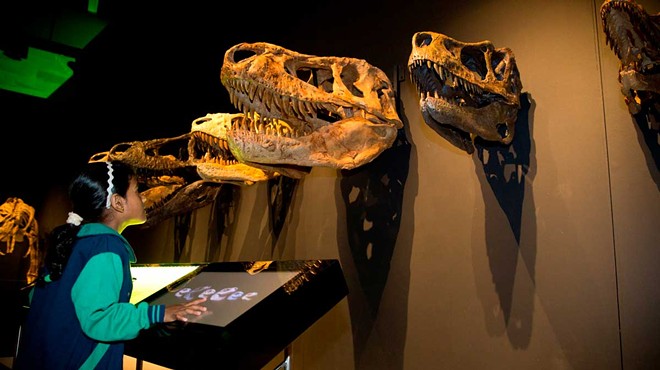 Tyrannosaurs – Meet the Family