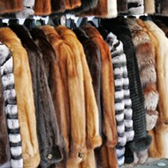 Animal rights activists, rejoice! Ann Arbor votes to ban sale of new fur products