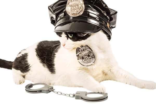 The Troy Police Department is getting a cat