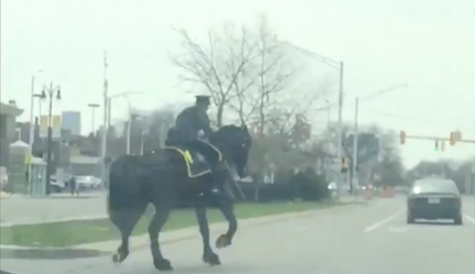 Video of a Detroit horse cop pulling someone over has gone viral