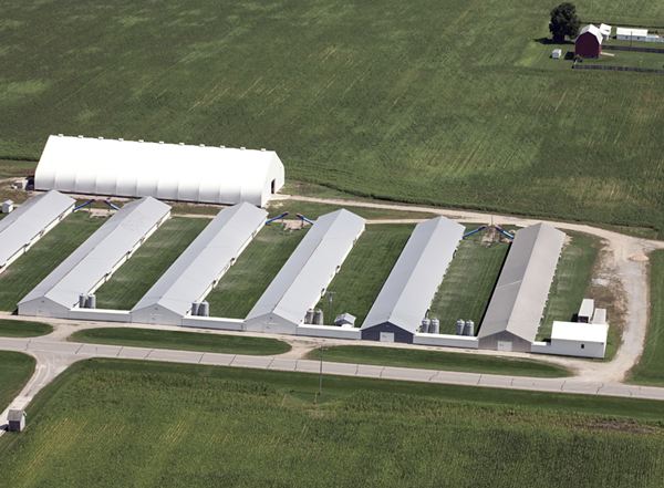 A supplier to Herbruck's Farm. Each shed holds tens of thousands of birds. To put the size in perspective, reference the semi-trailers just to the right of the sheds. Note that there are zero birds outdoors. - Courtesy of Cornucopia Institute