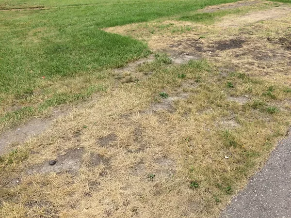 Once again, the Grand Prix tore up Belle Isle, and it's a muddy mess (6)