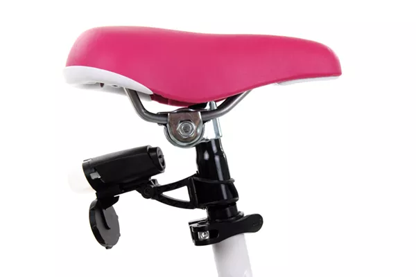Two state cops allegedly stole a pink-seated bicycle to bar hop on Mackinac