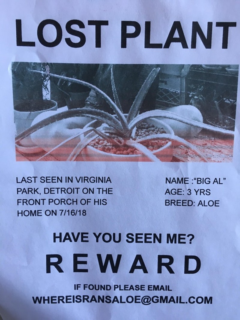 Detroit resident offers reward for the plant-napping of 'Big Al'