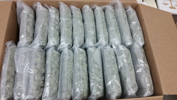 Illegal cargo seized by CBP - Photo via U.S. Customs and Border Protection Great Lakes Twitter