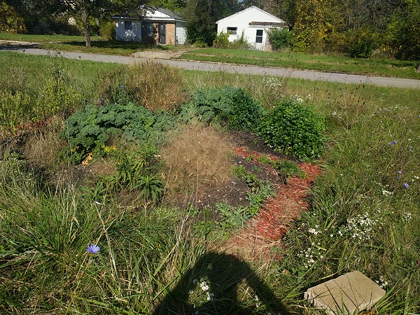 An overgrown bed at the garden pictured in October. - Courtesy of Robert Burton-Harris