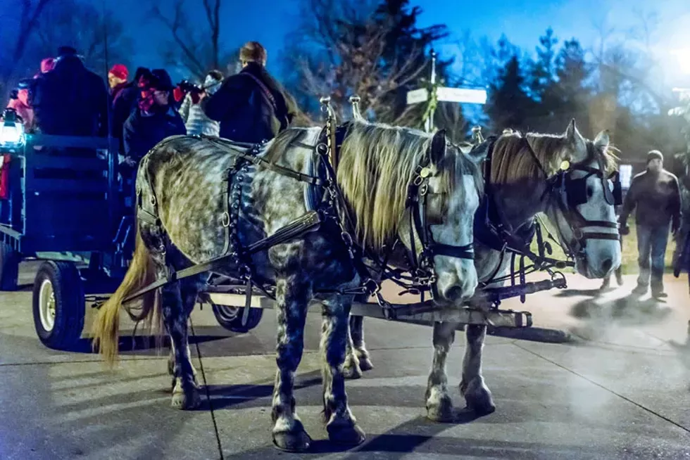 A selection of Detroit 2018 holiday shopping events