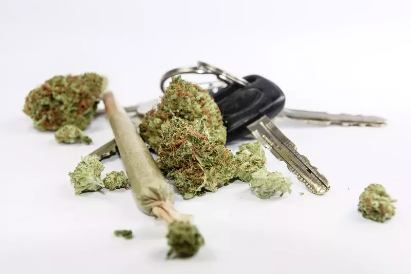 More than half Michigan marijuana patients admit to driving while 'a little high,' study finds