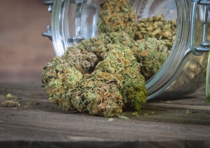 State of Michigan recalls marijuana strains after testing for cadmium, arsenic