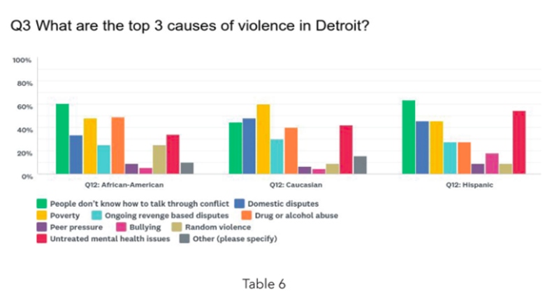 New study claims that Detroit violence is 'forced and structural'