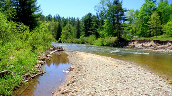 The Pine River in the Manistee National Forest. - SHUTTERSTOCK/BOB KLANN