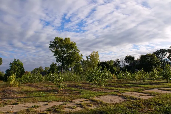 Hantz Farms circa 2017 - Steve Neavling