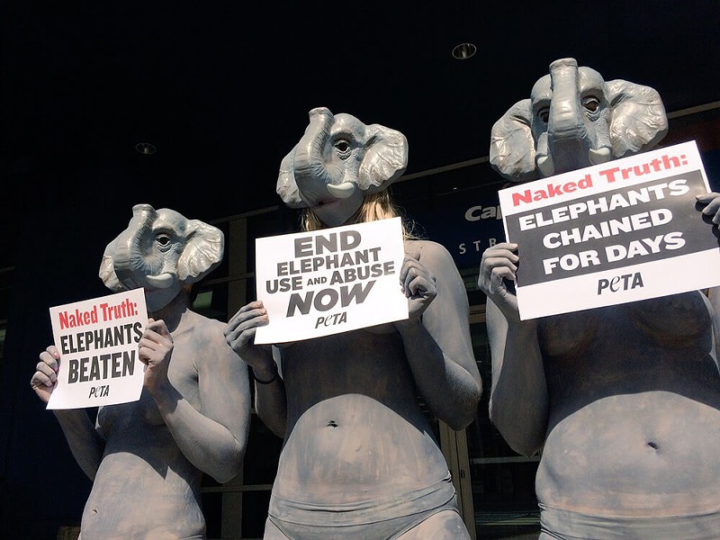 PETA protesters at a previous event in Detroit. - Photo courtesy of PETA