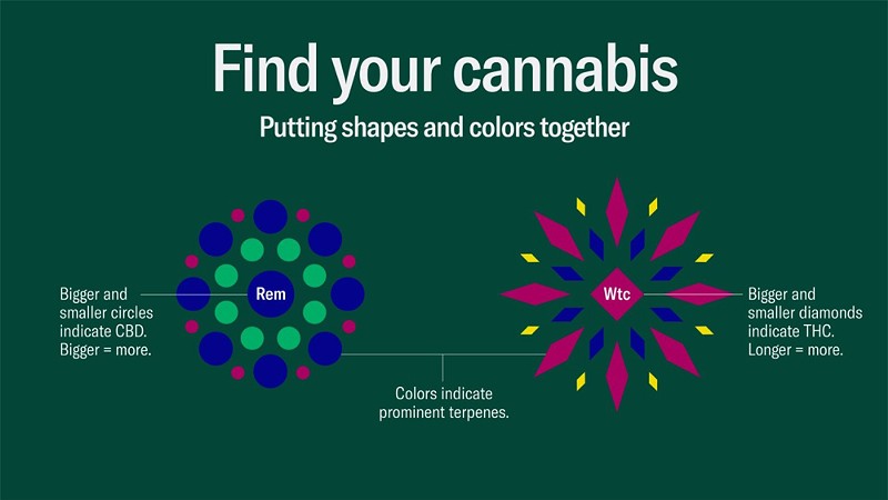 Leafly’s new strain visualization uses diamonds to represent THC and circles for CBD. - Courtesy of Leafly.com