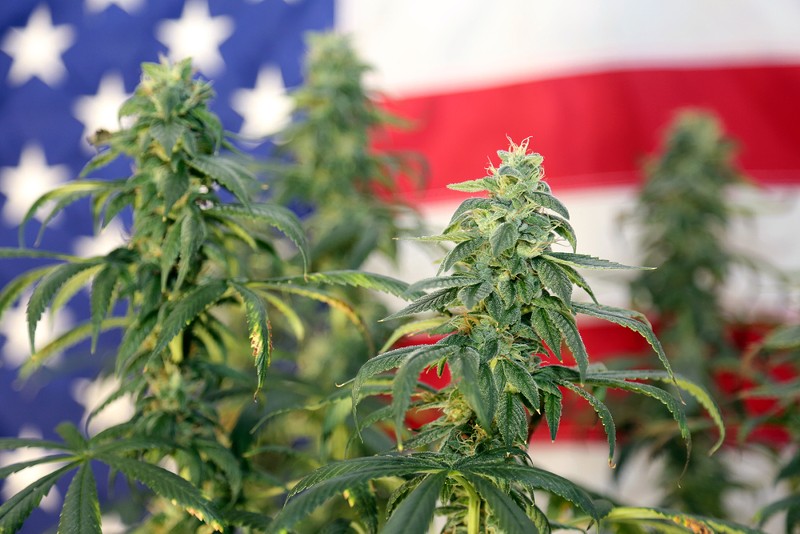 With the MORE Act, we're closer than ever to legalizing weed at the federal level
