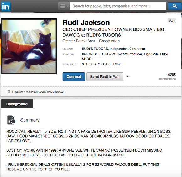 This cat's LinkedIn profile is absolutely better than yours