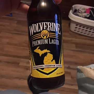 20 Michigan craft brews to start your summer right (ranked)