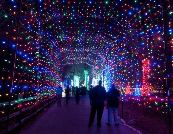 The insane amount of lights at "Wild Lights" at the Detroit Zoo. - Detroit Zoo Facebook
