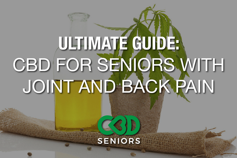 The Ultimate Guide to CBD and Seniors With Joint and Back Pain