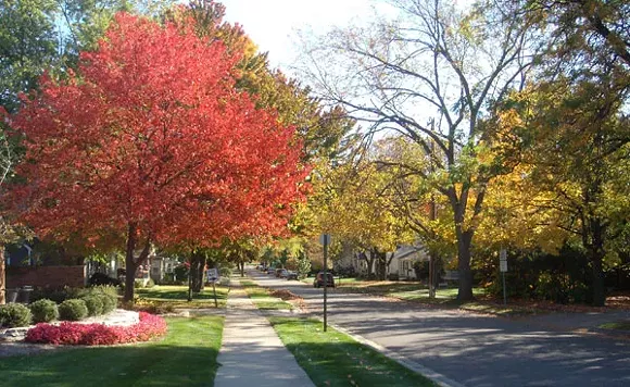 Neighborhood street in Rochester - City of Rochester website