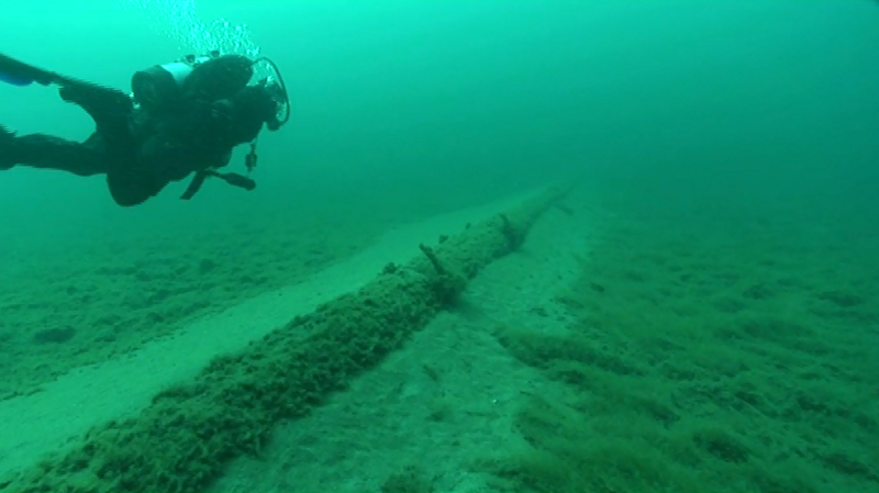 In 2013, the National Wildlife Federation sent divers to look at Enbridge, Inc.'s aging straits pipelines, finding wide spans of unsupported structures encrusted with exotic zebra mussels and quagga mussels. - National Wildlife Federation