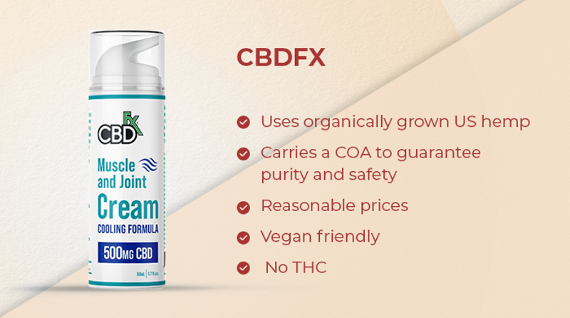 The Top 10 Best CBD Cream For Pain Relief 2020