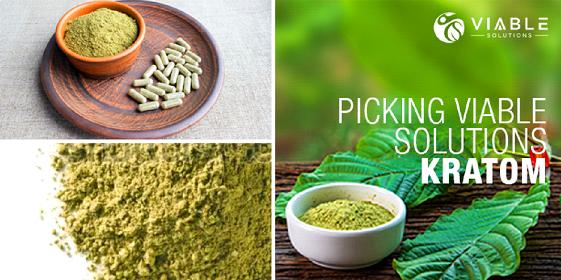 Picking Viable Solutions Kratom