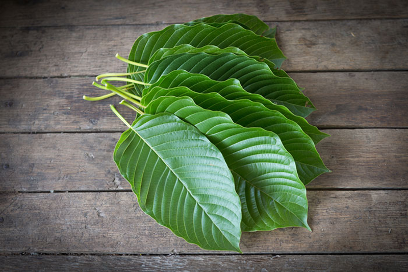 Best Kratom for Pain: Strains, Dosage & Reviews