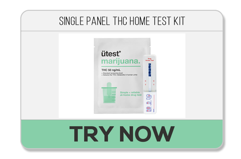 Top 5 Best At-Home Drug Testing Kits (2024)