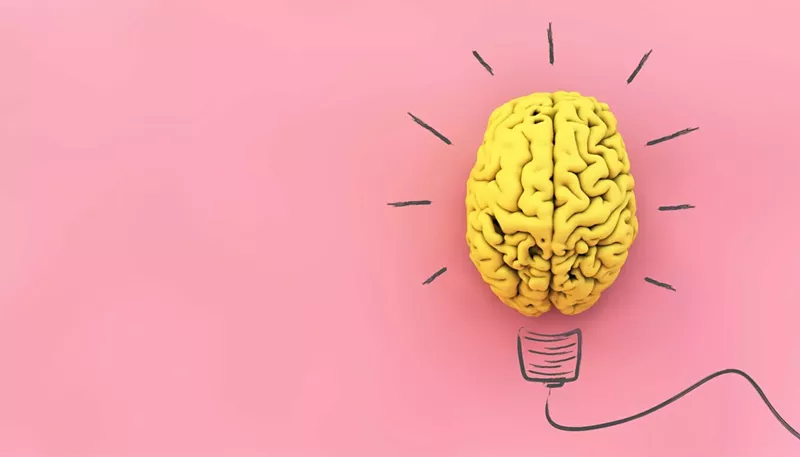 3 Top Natural Brain Supplements 2021: Boost Memory and Focus